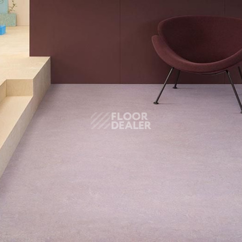 Forbo Marmoleum Decibel on Order 326635 lilac фото 2 | FLOORDEALER